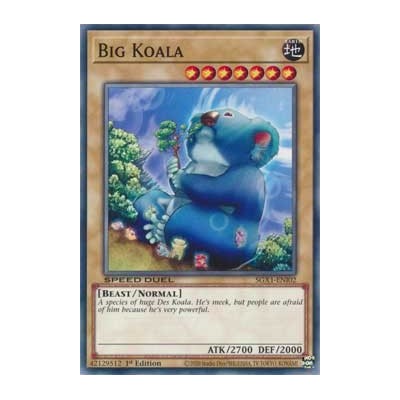 Big Koala - SGX1-ENI02