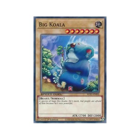 Big Koala - SGX1-ENI02