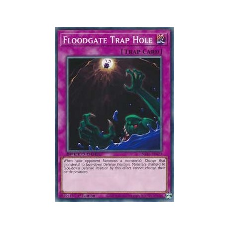 Floodgate Trap Hole - SGX1-ENI23