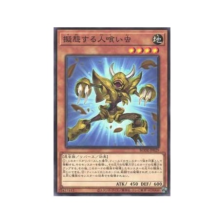 Mimicking Man-Eater Bug - BODE-JP029