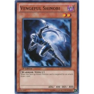 Vengeful Shinobi - PTDN-EN028