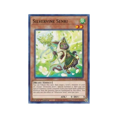 Silvervine Senri - BACH-EN031