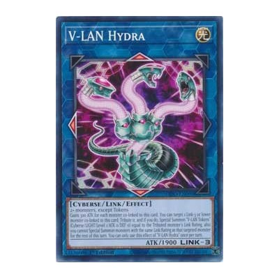 V-LAN Hydra - DIFO-EN099