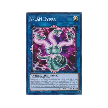 V-LAN Hydra - DIFO-EN099