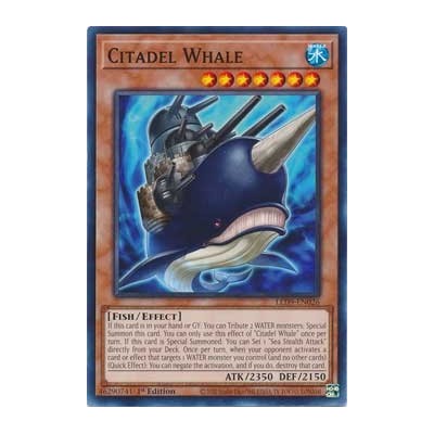 Citadel Whale - LED9-EN026