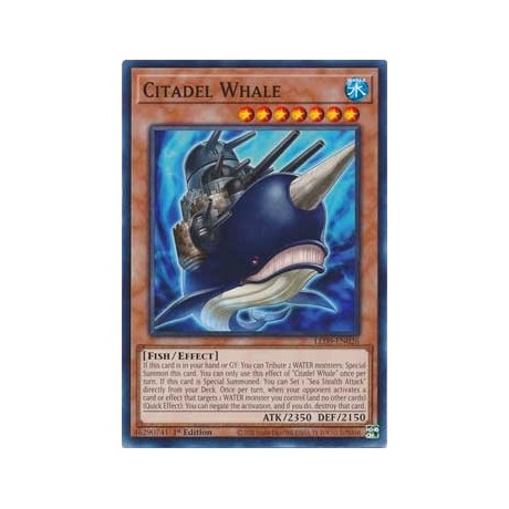 Citadel Whale - LED9-EN026