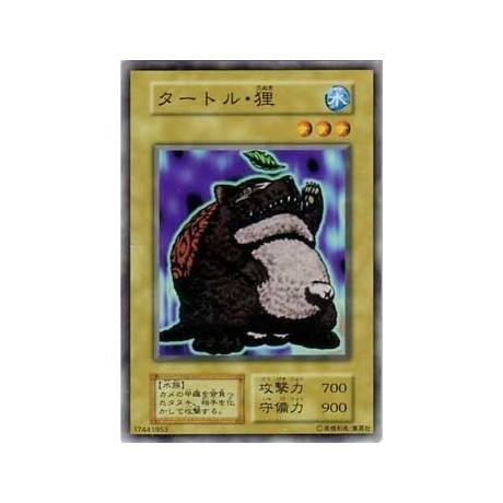 Turtle Raccoon - B5-17441953 - Usada