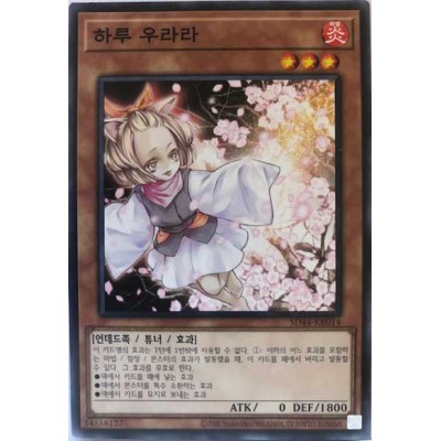 Ash Blossom & Joyous Spring - SD44-KR014