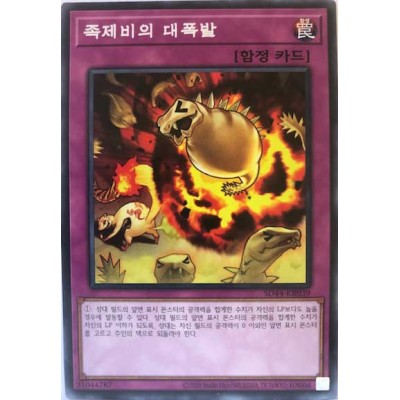 Ferret Flames - SD44-KR039