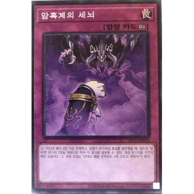 Dark World Brainwashing - SR13-KR036