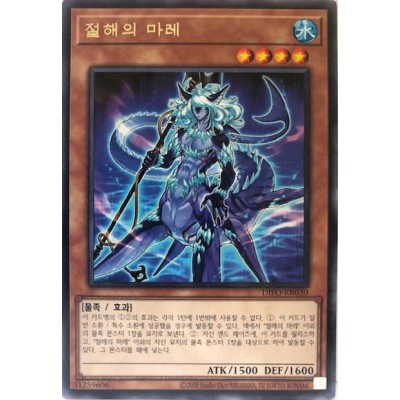 Supreme Sea Mare - DIFO-KR030