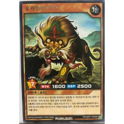 Oriental Tiger - RD/MRP1-KR088