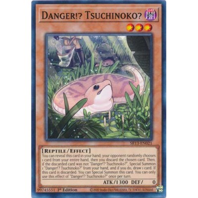 Danger!? Tsuchinoko? - SR13-EN021