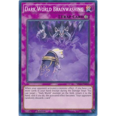 Dark World Brainwashing - SR13-EN035