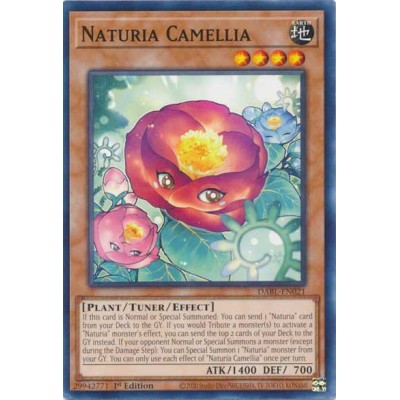 Naturia Camellia - DABL-EN021