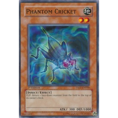 Phantom Cricket - TAEV-EN030