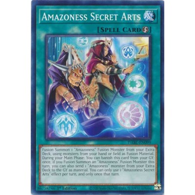 Amazoness Secret Arts - DABL-EN099