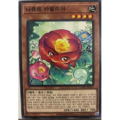 Naturia Camellia - DABL-KR021