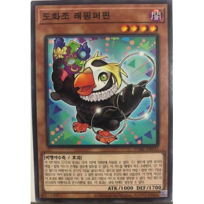 Laughing Puffin - DABL-KR033