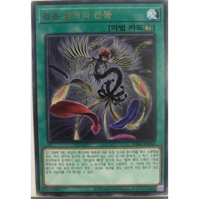 Black Feather Whirlwind - DABL-KR052