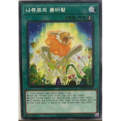 Naturia Blessing - DABL-KR064