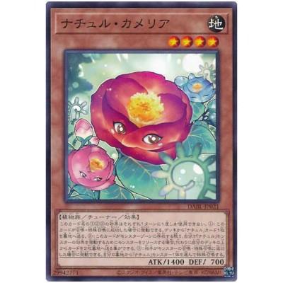 Naturia Camellia - DABL-JP021