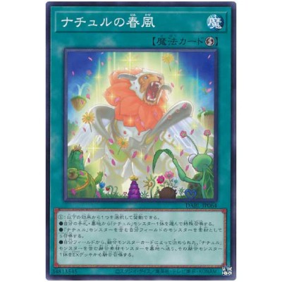 Naturia Blessing - DABL-JP064