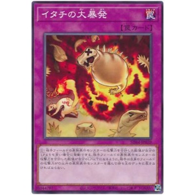 Ferret Flames - SD44-JP039