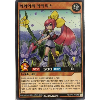 Iris the Rare Shadow Flower - RD/KP11-KR018