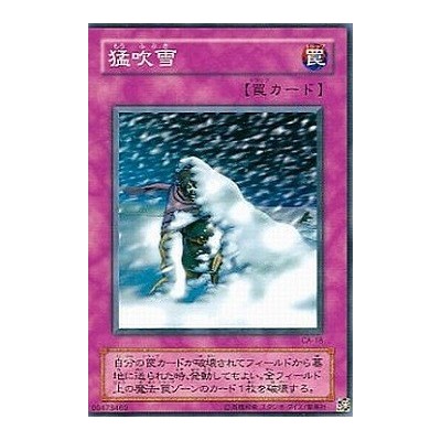 copy of Driving Snow - CA-18