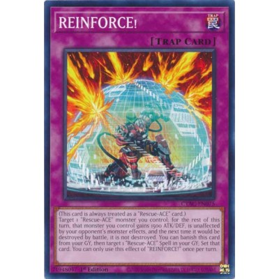 REINFORCE - CYAC-EN075