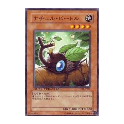 Naturia Beetle - DT03-JP007