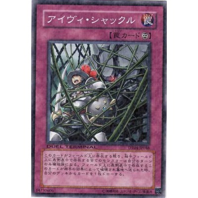 Ivy Shackles - DT04-JP048 - Nova