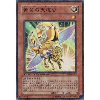 Golden Ladybug - DT06-JP003