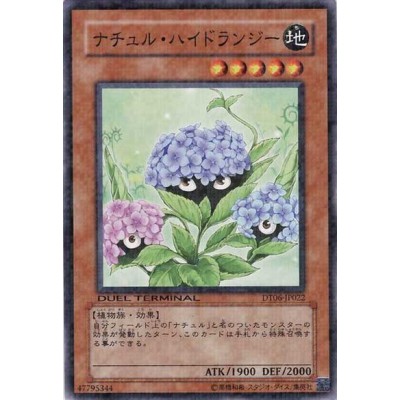 Naturia Hydrangea - DT06-JP022