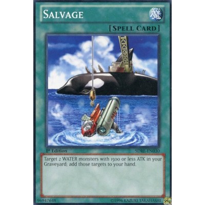 Salvage - LCYW-EN276