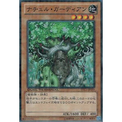 Naturia Guardian - DTC1-JP059 - Usada