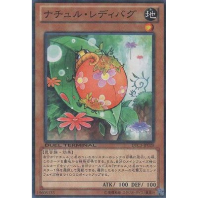 Naturia Ladybug - DTC3-JP020