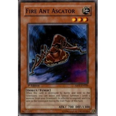 Fire Ant Ascator - ABPF-EN020