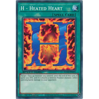 H - Heated Heart - SGX2-ENA13