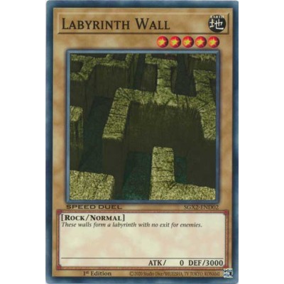 Labyrinth Wall - SGX2-END02