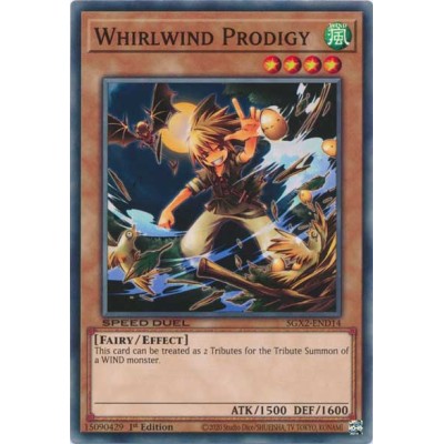 Whirlwind Prodigy - SGX2-END14