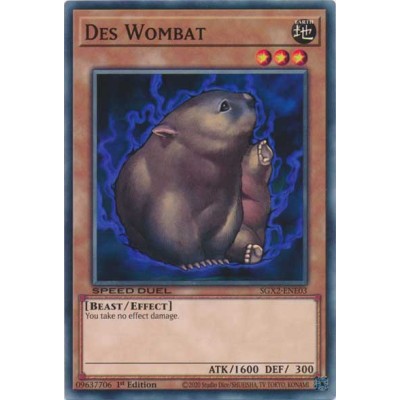 Des Wombat - SGX2-ENE03