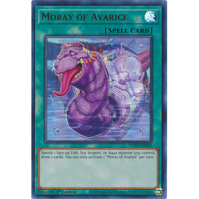 Moray of Avarice - POTE-EN084