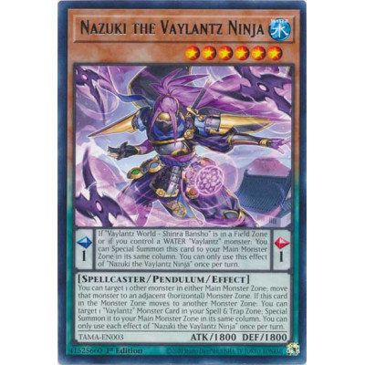 Nazuki the Vaylantz Ninja - TAMA-EN003