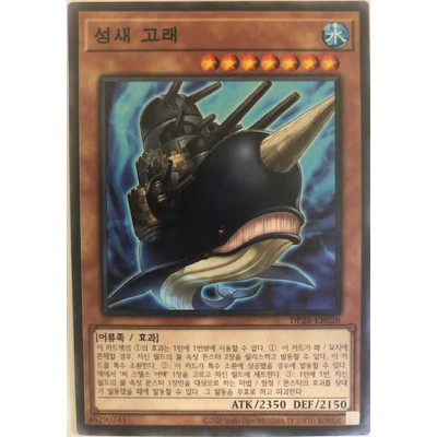 Citadel Whale - DP26-KR026