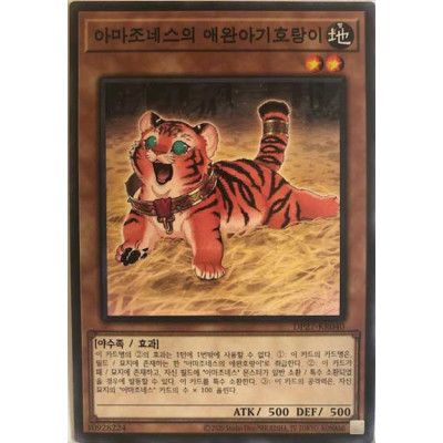 Amazoness Baby Tiger - DP27-KR040