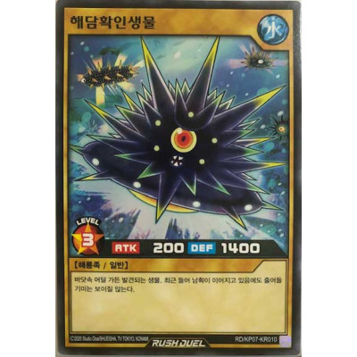 Unidentified Mysterious Urchin - RD/KP07-KR010