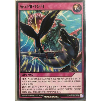 Dolphin Counterattack - RD/KP07-KR058