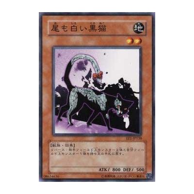 Dark Cat with White Tail - EE1-JP138